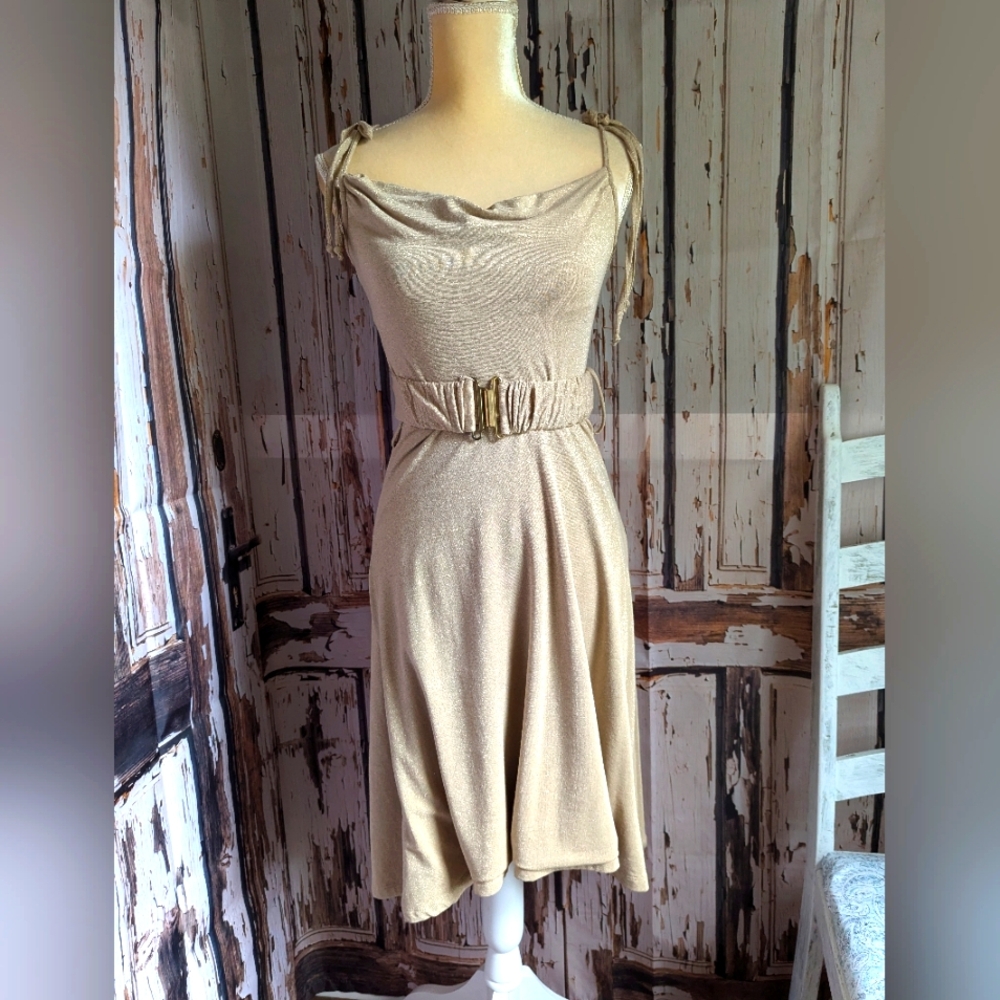 Corey Lynn Calter Vintage dress